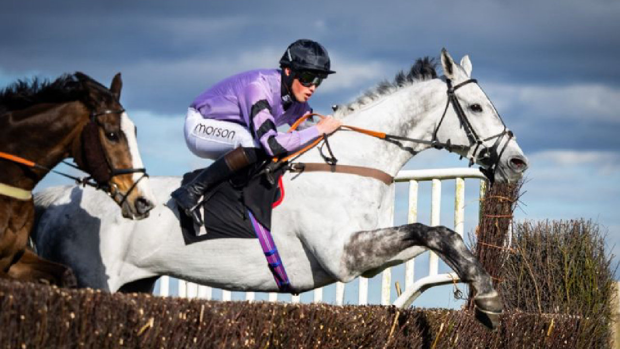 Christmas Countdown Raceday (picture: Plumpton Racecourse Ltd)