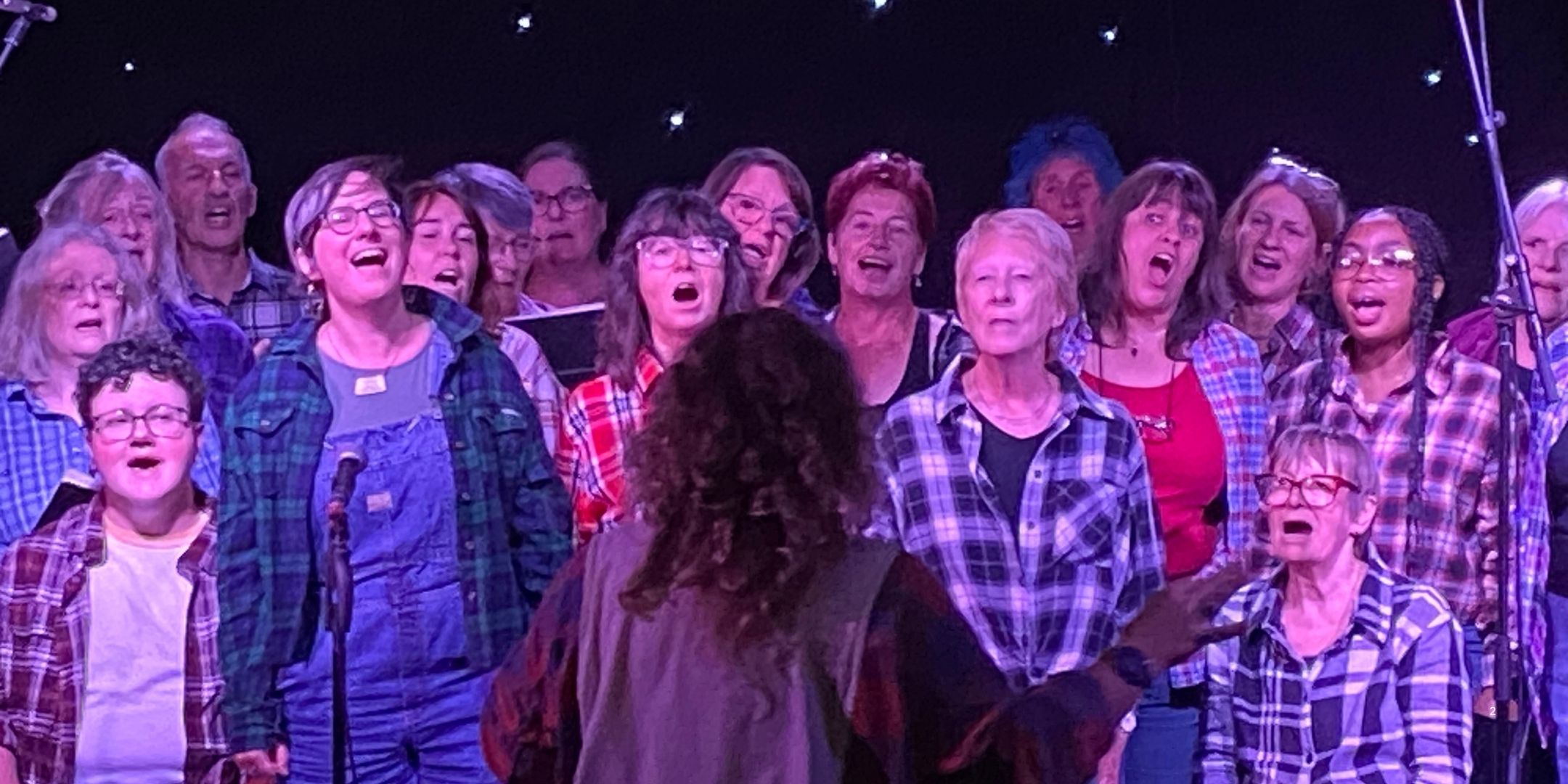 Hullabaloo Community Quire (picture: Ironworks Studios)