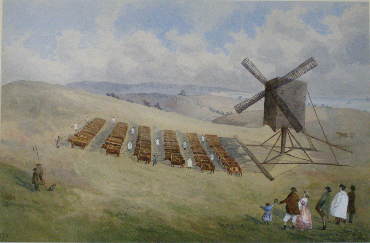 Online Exhibits (picture: Brighton & Hove Museums)