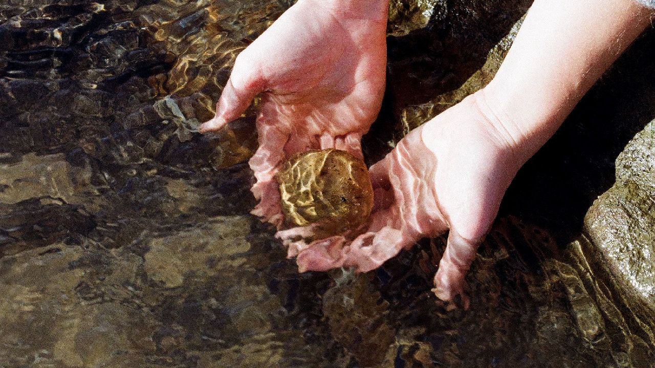 EXPLORING WILD CLAY (picture: Hastings Contemporary)