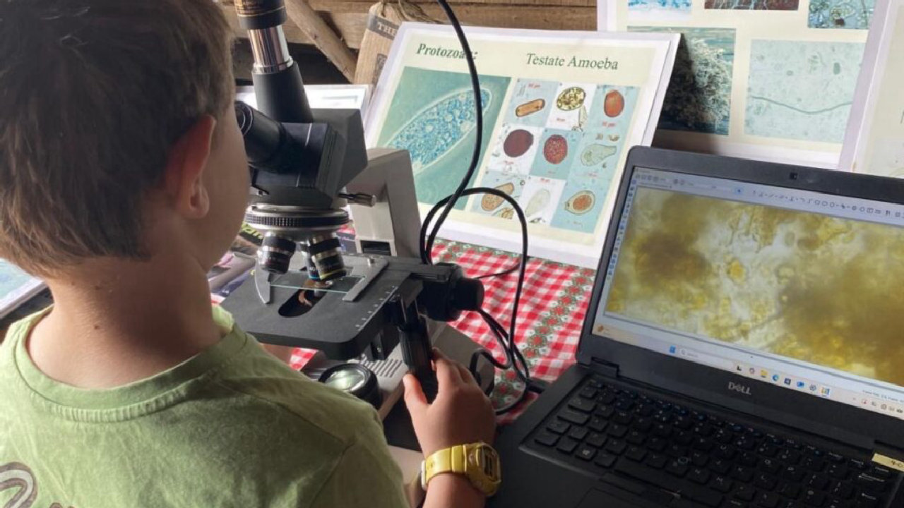 A microscopic adventure (picture: Hastings Contemporary)