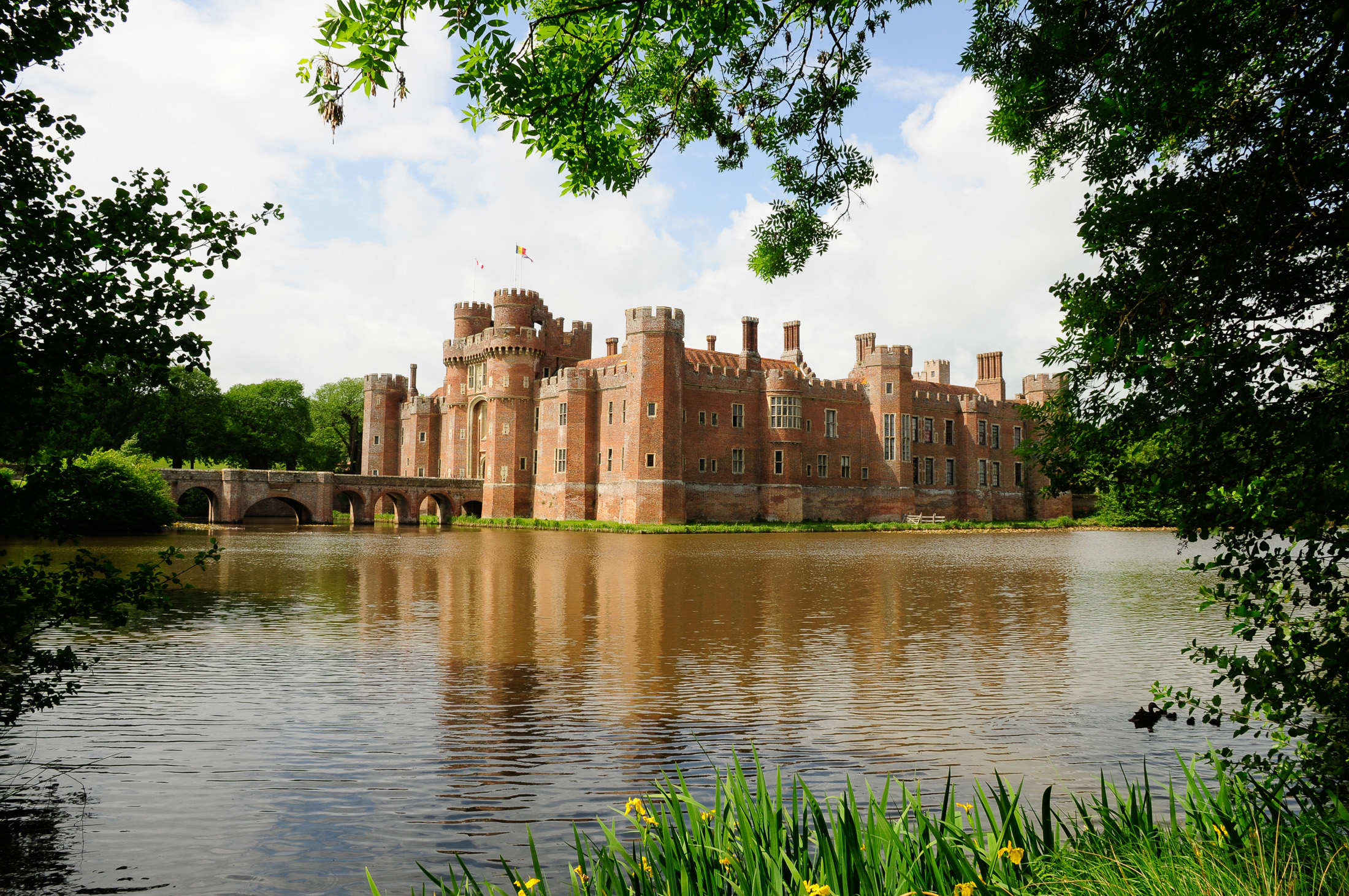 Woodland (picture: Herstmonceux Castle)