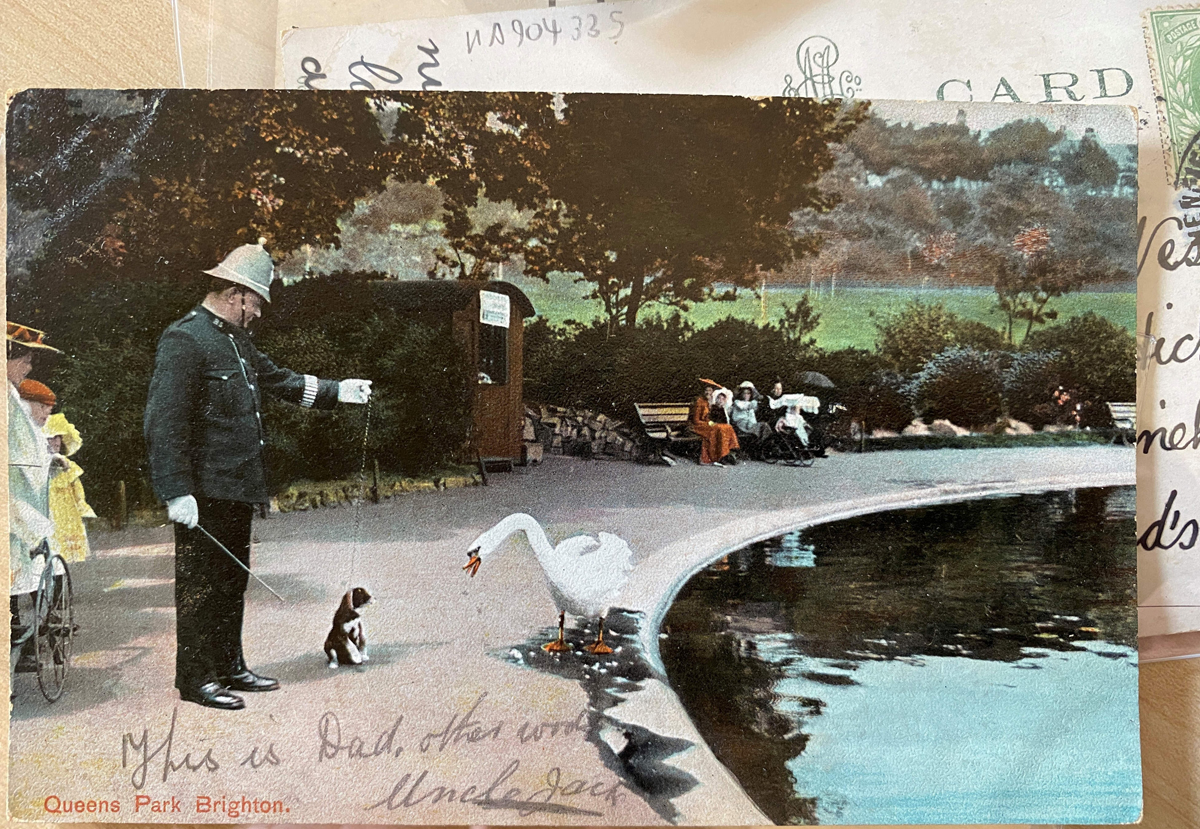 Curator at Work (picture: Brighton & Hove Museums)