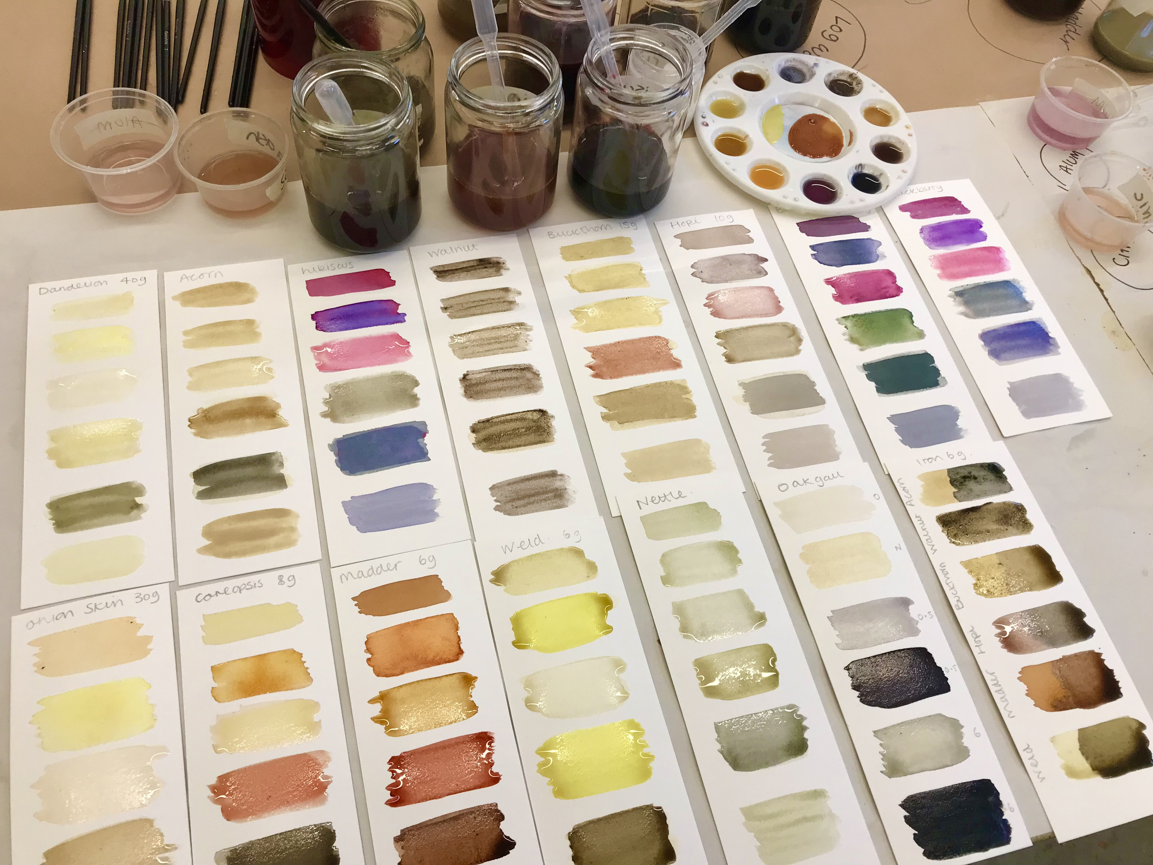 BOTANICAL INK MAKING (picture: Hastings Contemporary)