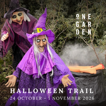 Half Term Halloween Trail (picture: One Garden Brighton)