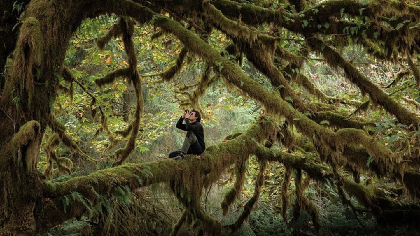 Whispers in the Woods + Intro (picture: Electric Palace Cinema)