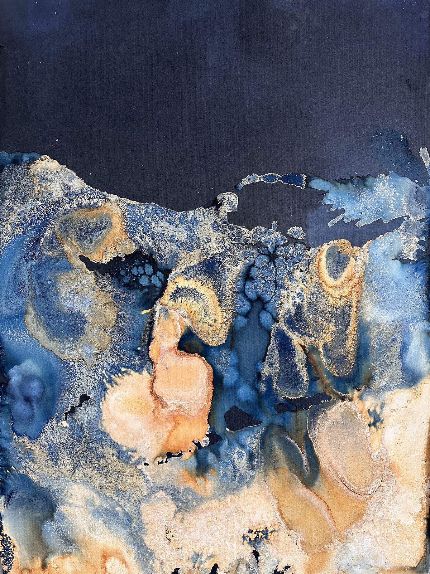 And So I Watch You From Afar and The Most Beautiful Anthropocene by Aindreas Scholz (picture: Brighton & Hove Museums)
