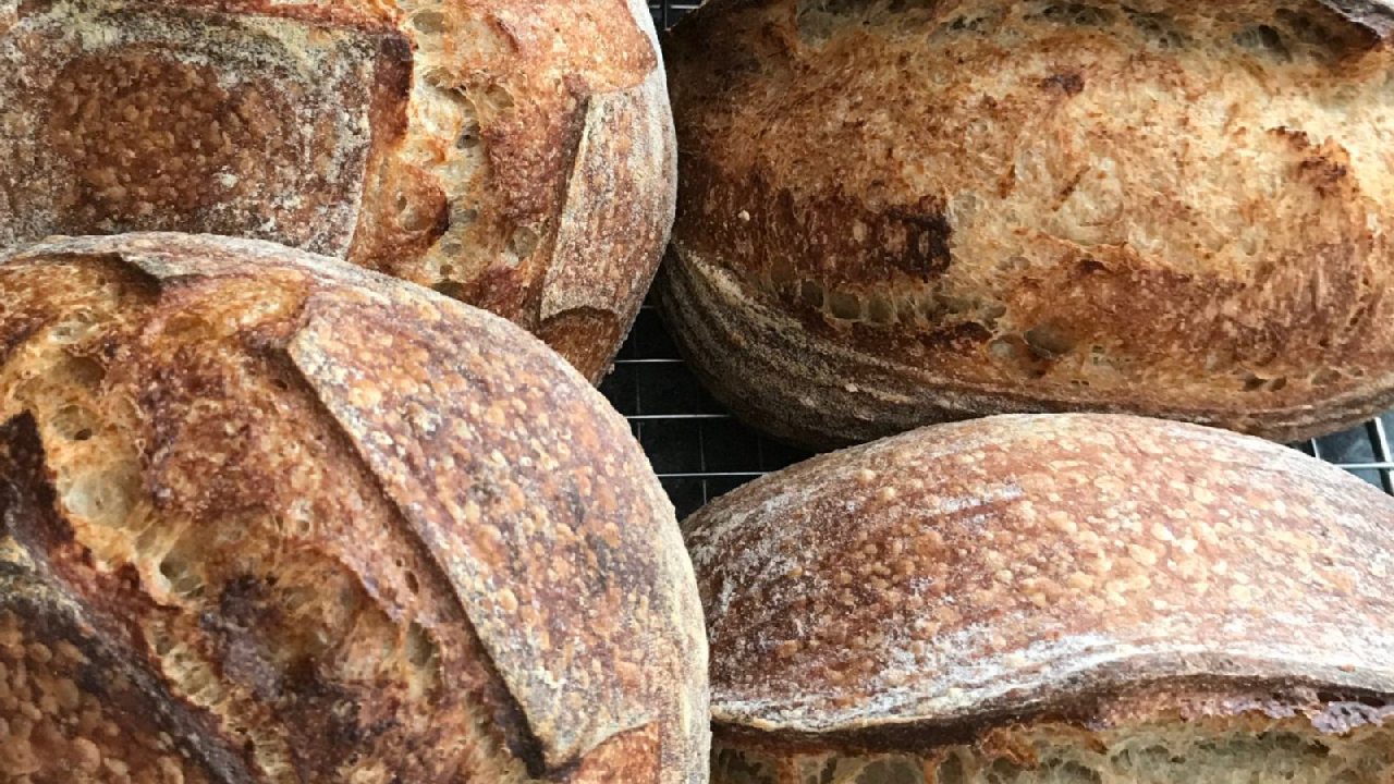 Freshly baked sourdough loaves from a Nutrilicious workshop