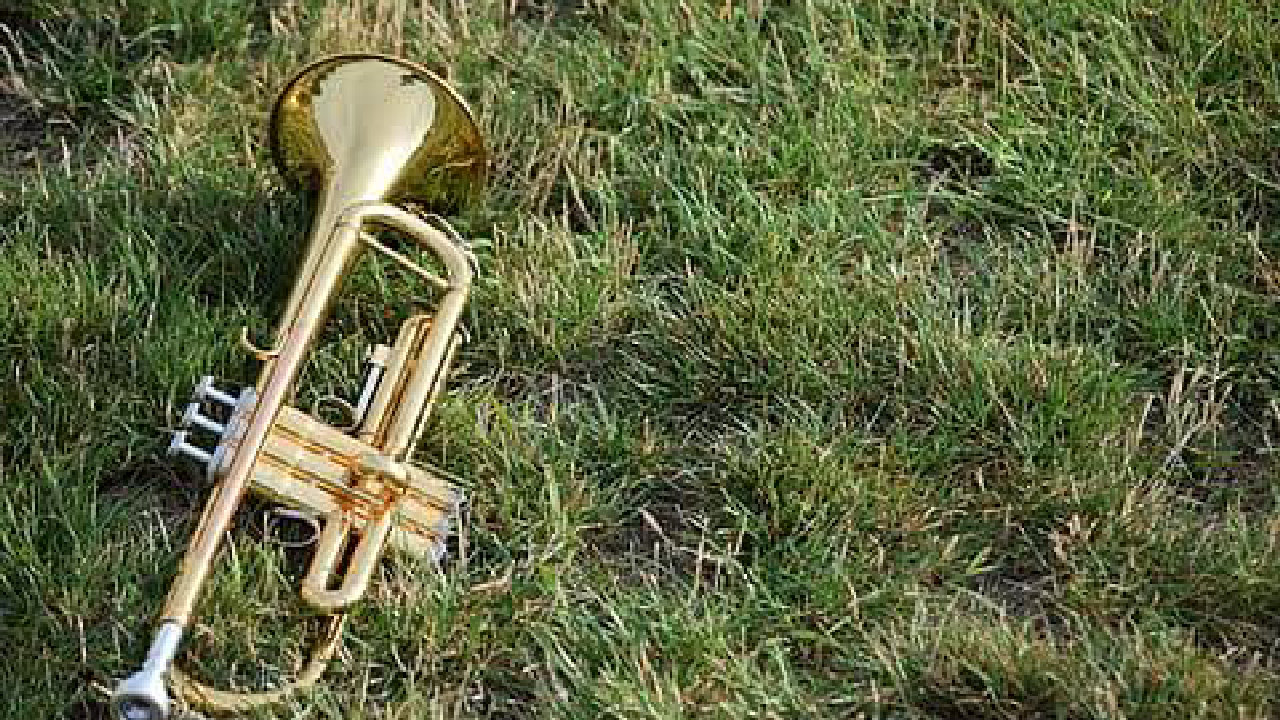 A brass trumpet lying on grass