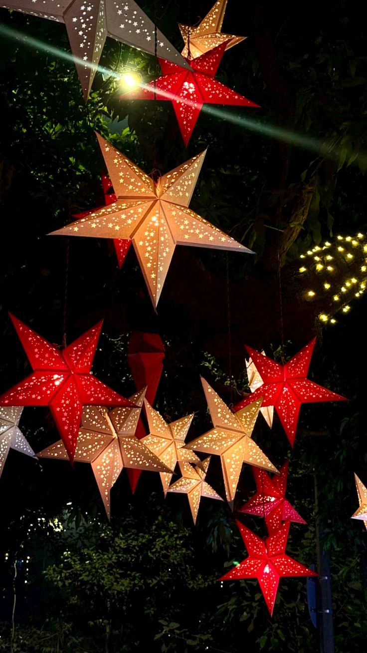 Red and cream illuminated paper stars glowing against dark foliage at night